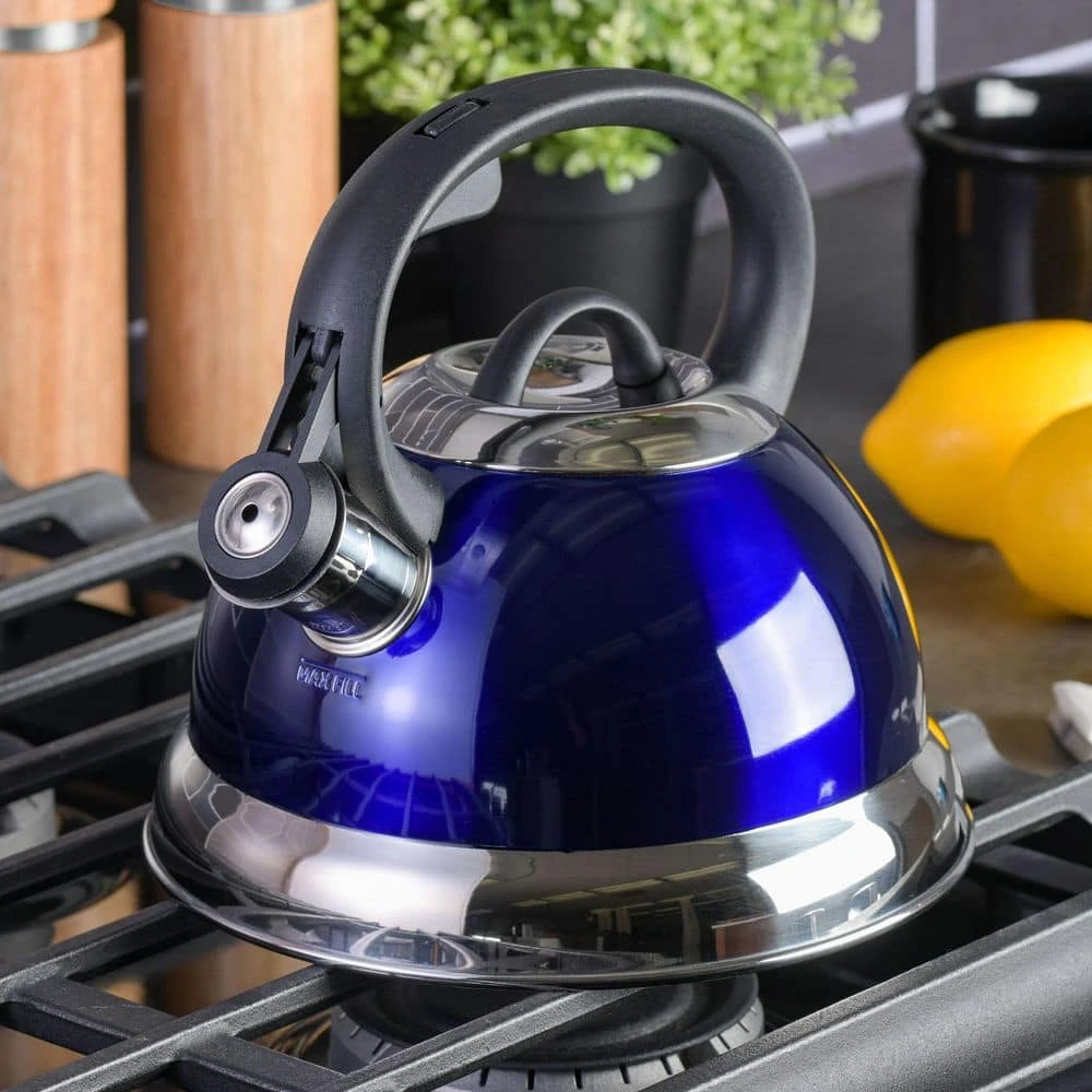 Flintshire 1.75 qt. 7-Cup Blue Stainless Steel Whistling Stovetop Tea Kettle by Mr. Coffee - Image 8