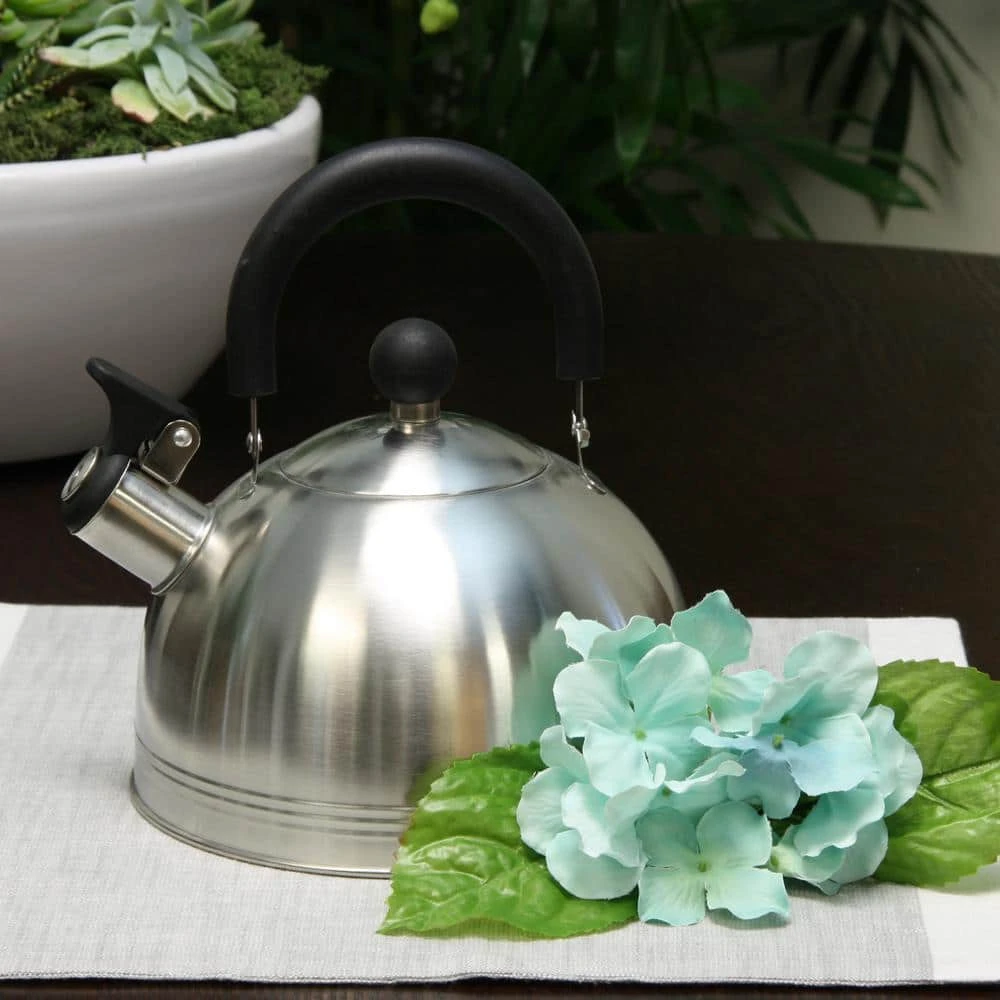 Carterton 6-Cup Stainless Steel Whistling Tea Kettle by Mr. Coffee - Image 3