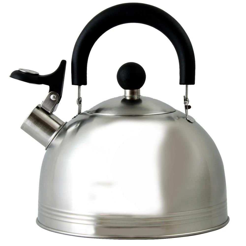 Carterton 6-Cup Stainless Steel Whistling Tea Kettle by Mr. Coffee
