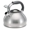 Gum Drop 10-Cup Stainless Steel Tea Kettle by Polder