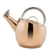 DuraCopper 10.57-Cup Stovetop Tea Kettle in Copper by Old Dutch