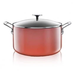 5 qt. Round Coral Aluminum Nonstick Ultra-Durable Mineral and Diamond Coating Gradient Brasier Stock Pot with Lid by GRANITESTONE