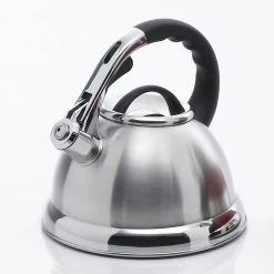 Camille 12-Cup Stovetop Tea Kettle in Silver by Creative Home