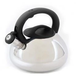 Harpwell 60 oz. 2-Cups Stainless Steel Tea Kettle by Unbranded