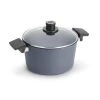 Diamond LITE Induction 5.25 qt. Cast Aluminum Nonstick Stock Pot in Gray with Glass Lid by Woll